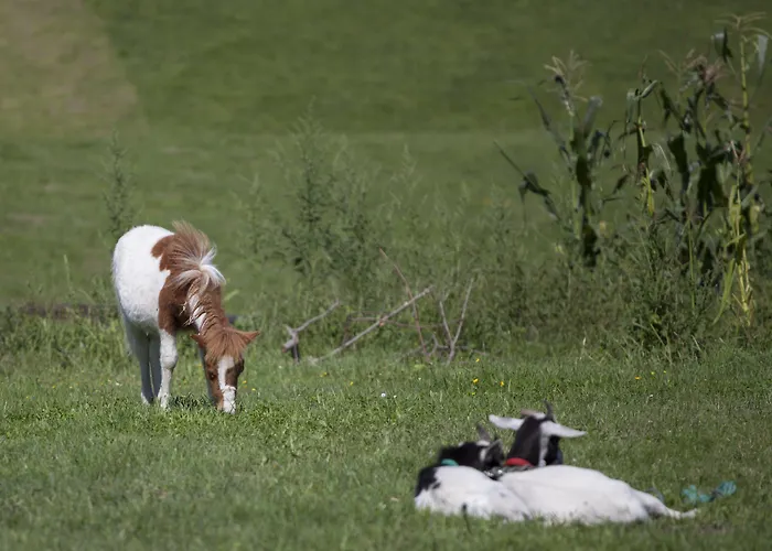 Rural La Llosa De Fombona Luanco